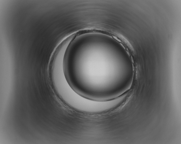 X0000113210876200909101130