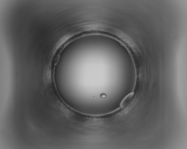 X0000113210877200909101130