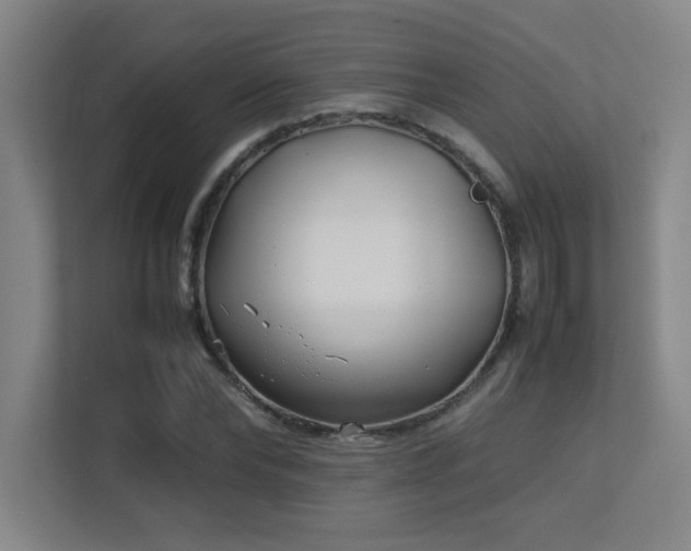 X0000113210878200909101130