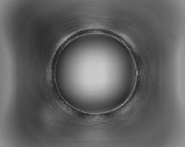 X0000113210879200909101130