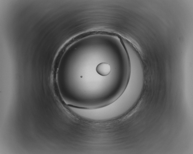 X0000113210880200909101130