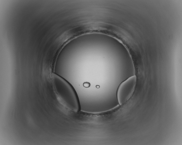 X0000113210881200909101130