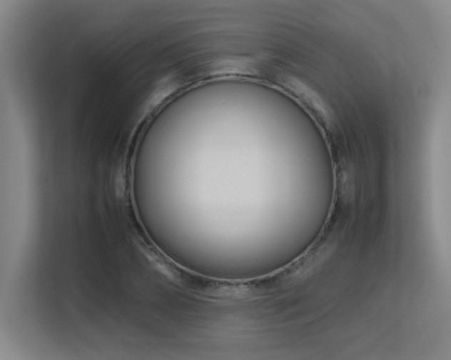 X0000113210882200909101130