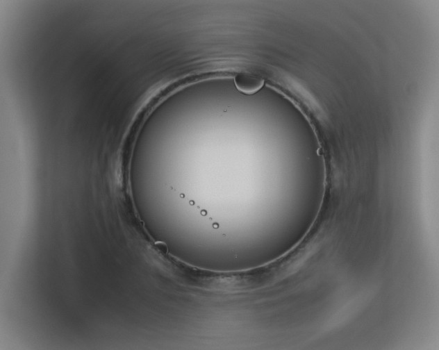 X0000113210883200909101130
