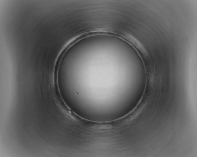 X0000113210884200909101130
