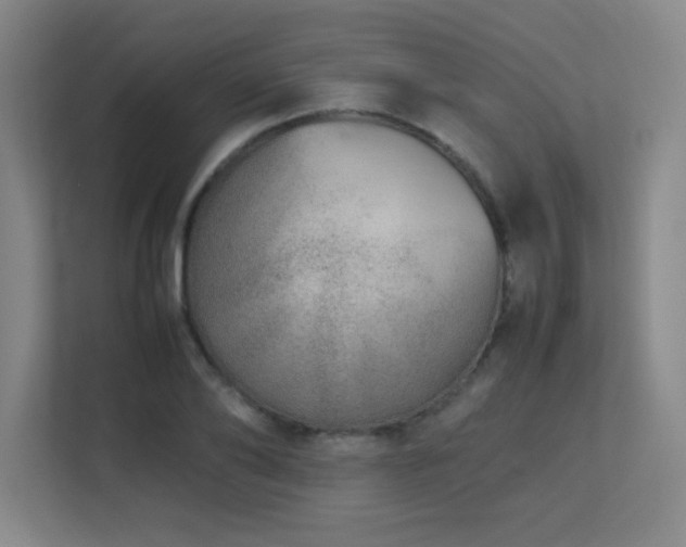 X0000113210886200909101130