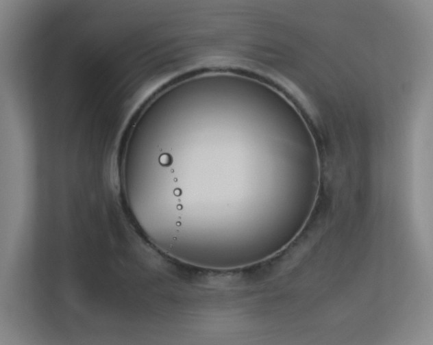 X0000113210887200909101130