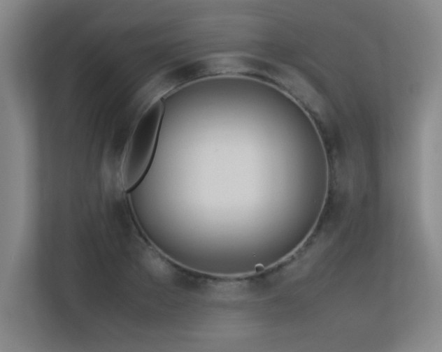 X0000113210889200909101130