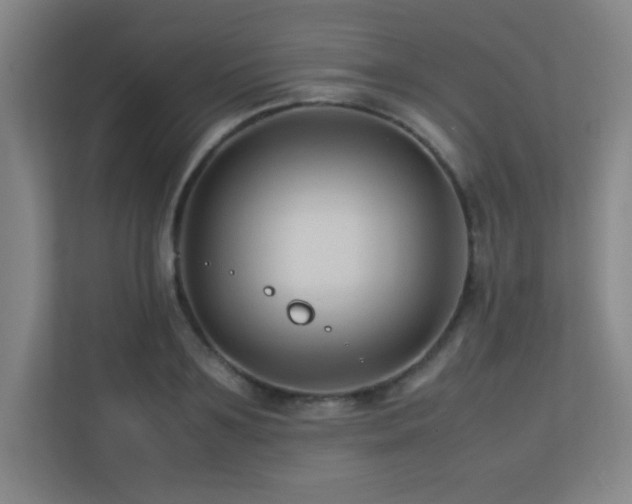X0000113210891200909101130