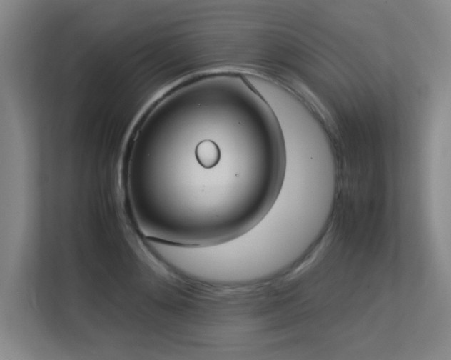 X0000113210892200909101130