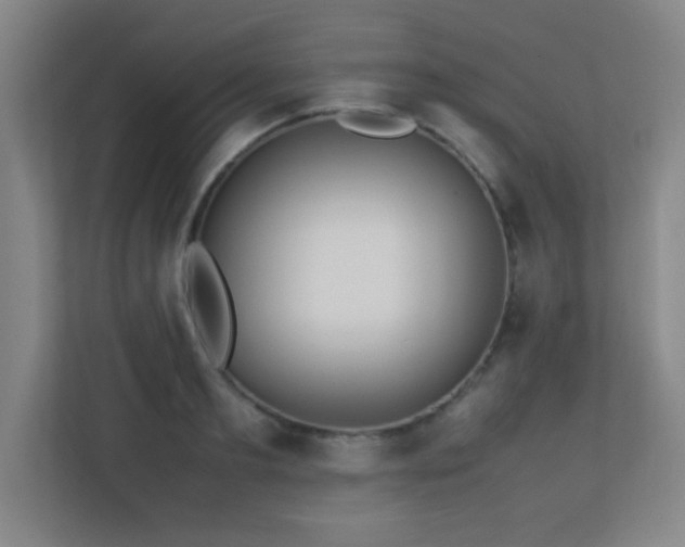 X0000113210893200909101130