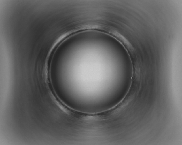 X0000113210894200909101130