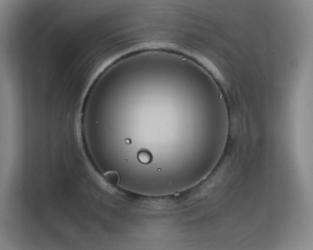 X0000113210895200909101130