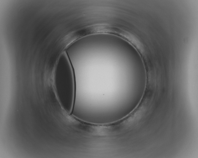 X0000113210897200909101130