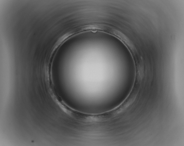 X0000113210898200909101130