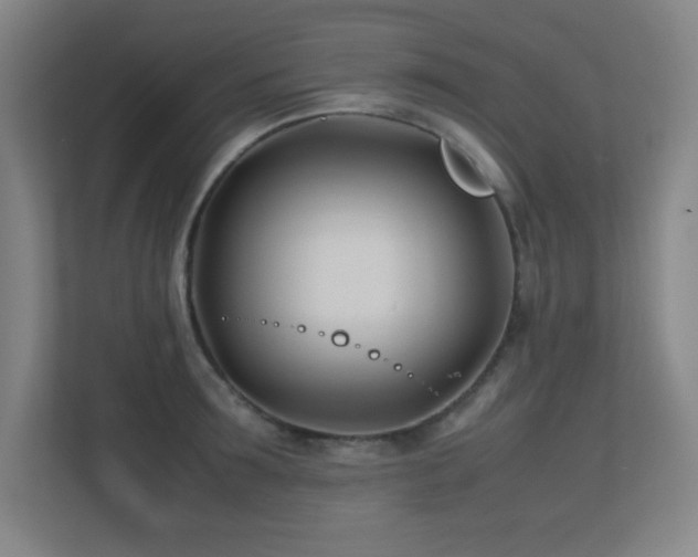 X0000113210899200909101130