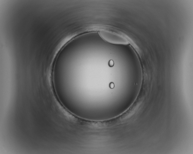 X0000113210901200909101130