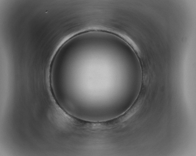 X0000113210903200909101130