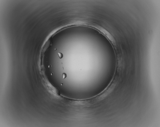 X0000113210904200909101130