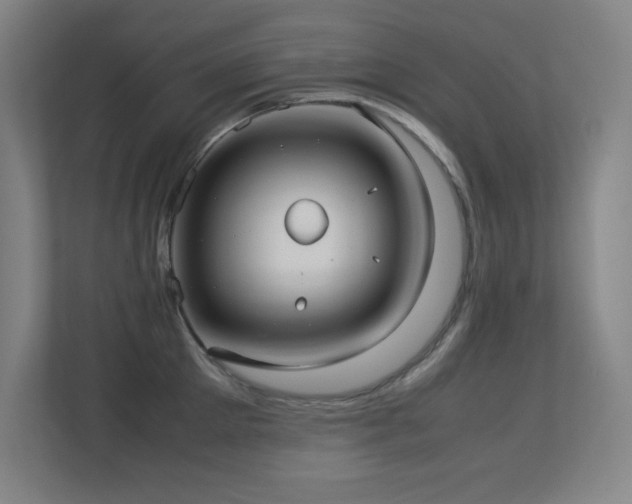 X0000113210905200909101129