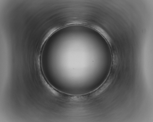 X0000113210906200909101129
