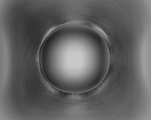 X0000113210907200909101129