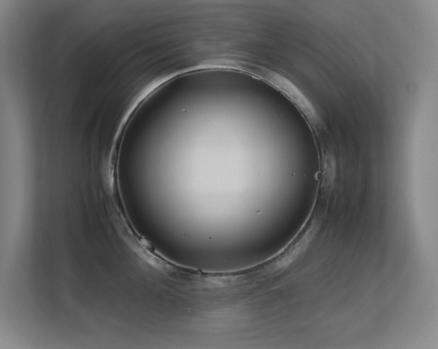 X0000113210908200909101129