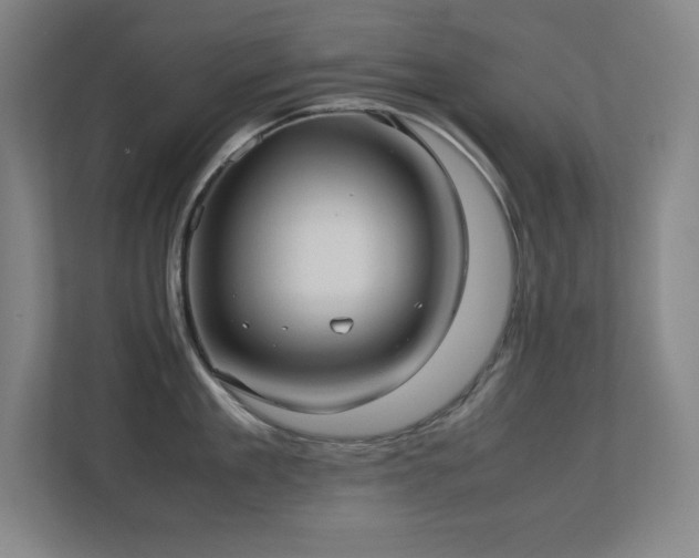 X0000113210909200909101129