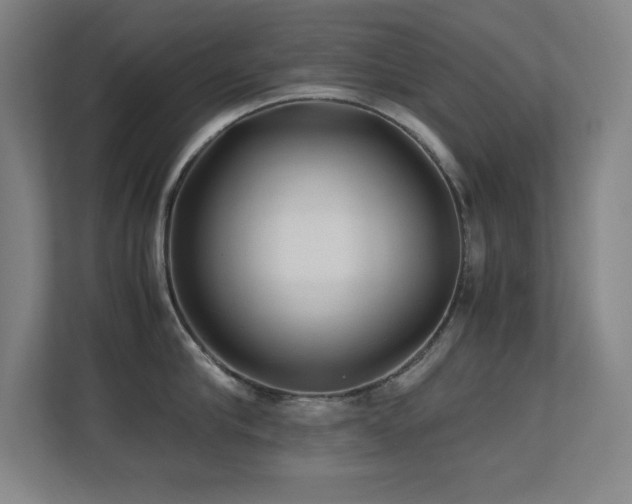 X0000113210910200909101129