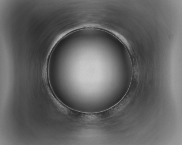 X0000113210911200909101129