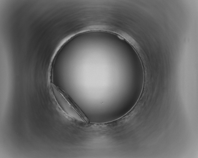 X0000113210912200909101129