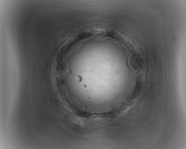 X0000113210913200909101129