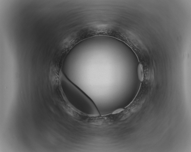 X0000113210916200909101129