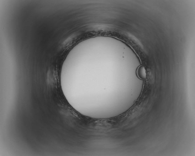 X0000113210918200909101129