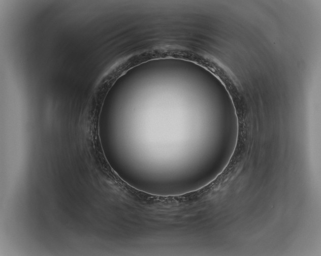 X0000113210919200909101129