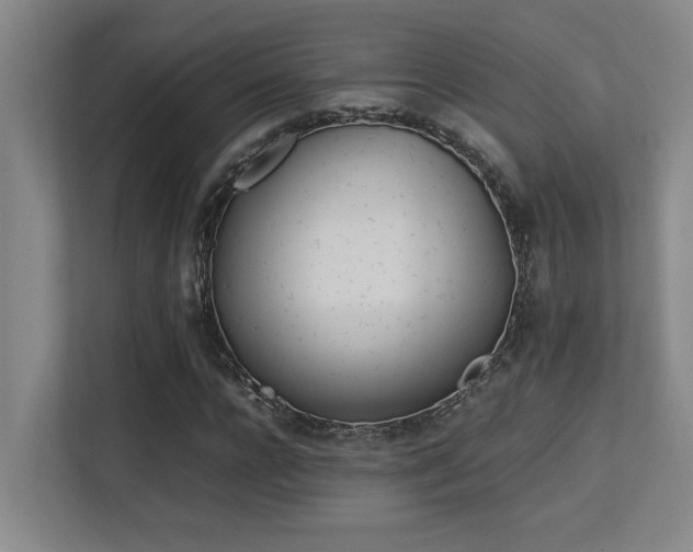 X0000113210920200909101129