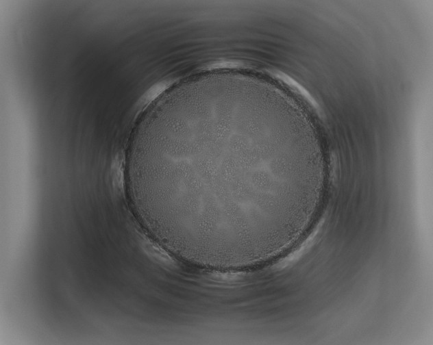 X0000113210921200909101129
