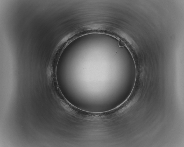 X0000113210922200909101129