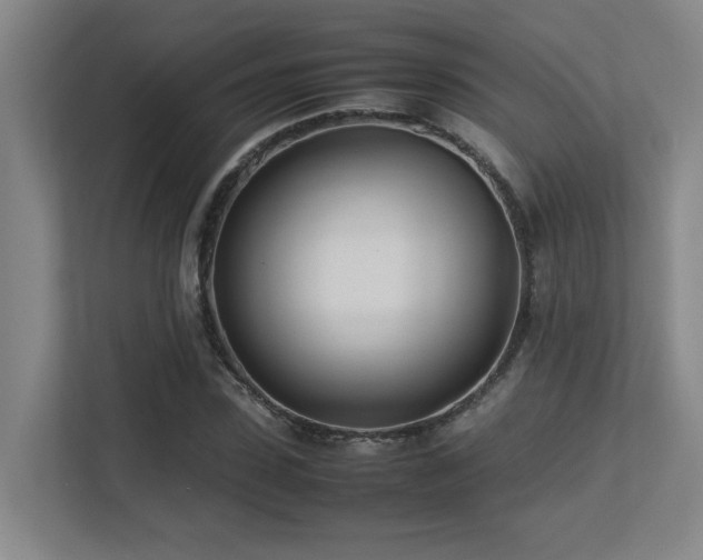 X0000113210923200909101129