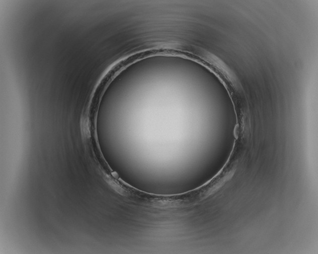 X0000113210924200909101129
