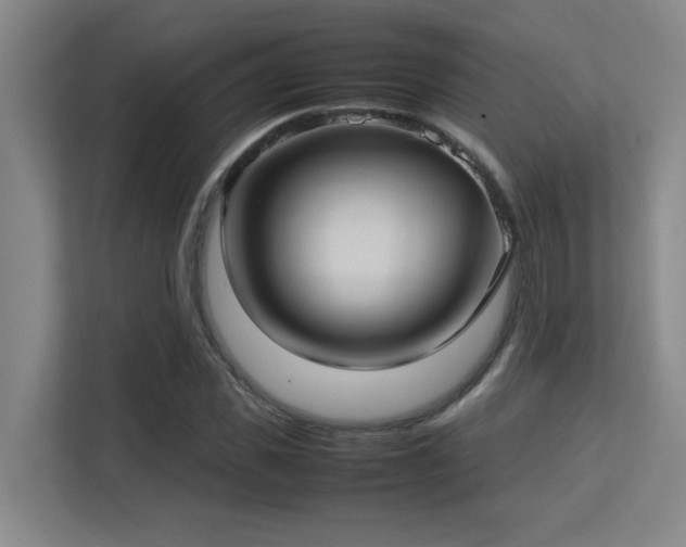 X0000113210925200909101129