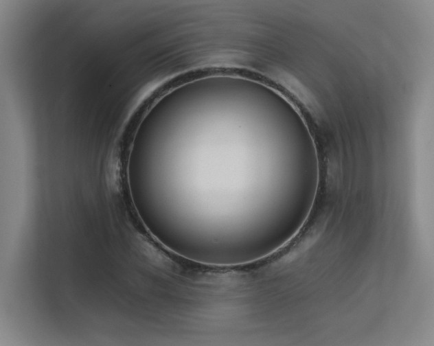 X0000113210926200909101129
