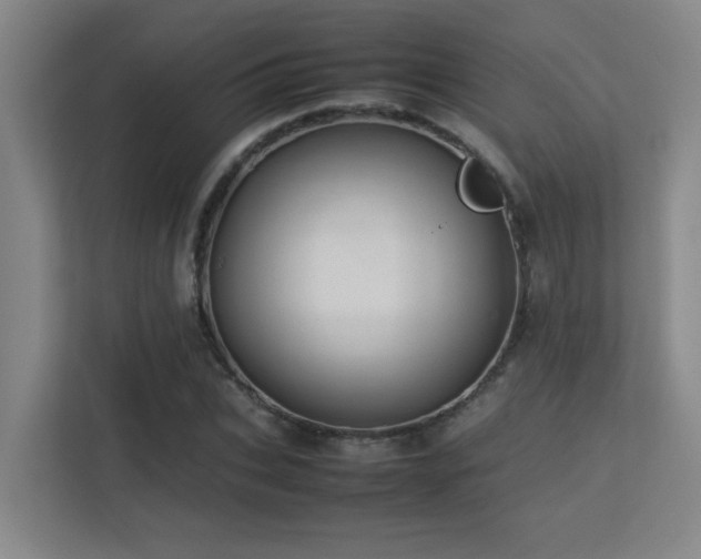 X0000113210927200909101129