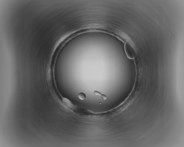 X0000113210928200909101129