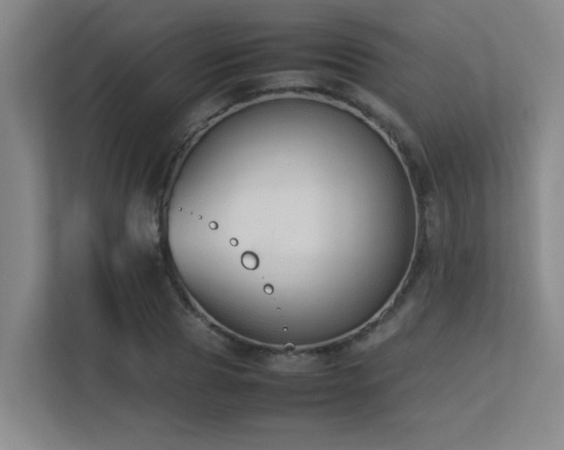 X0000113210929200909101129