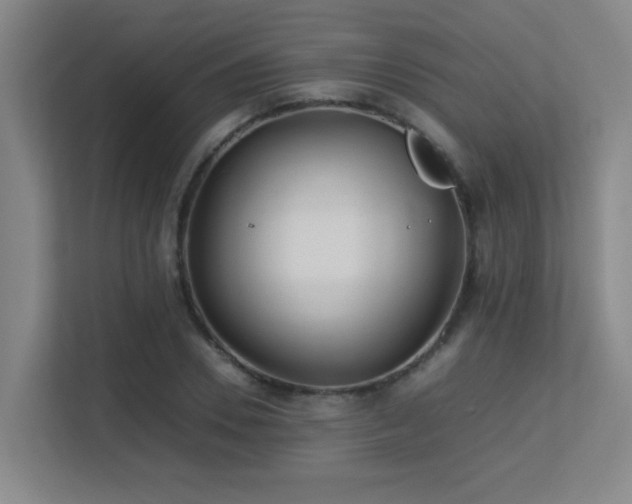 X0000113210930200909101129