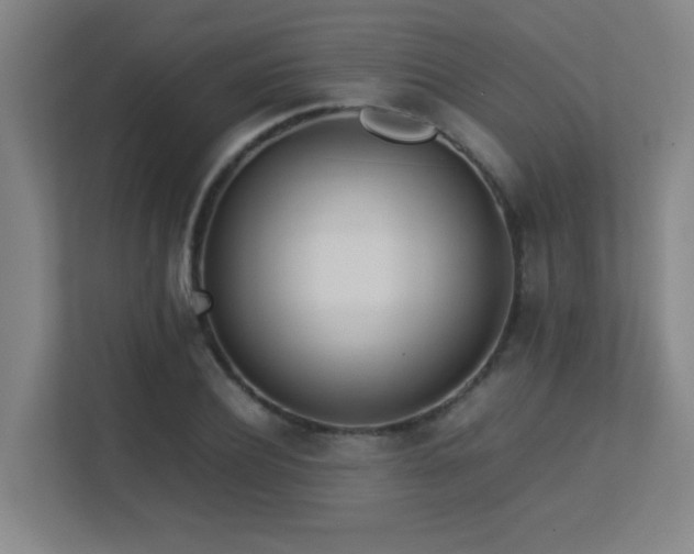 X0000113210932200909101129