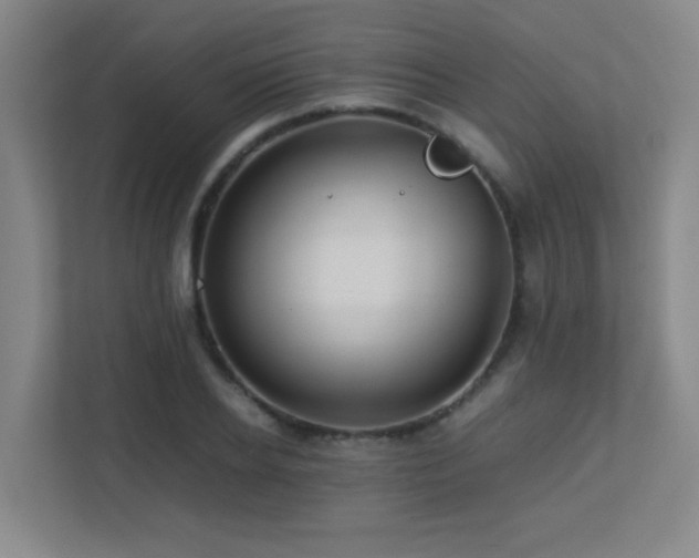 X0000113210934200909101129