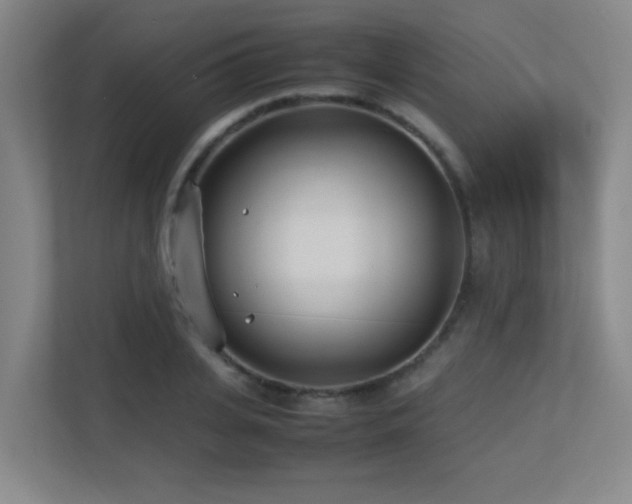 X0000113210935200909101129