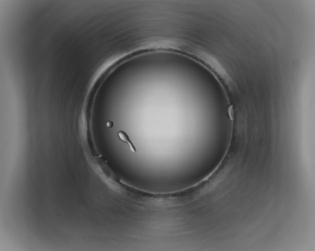 X0000113210936200909101129